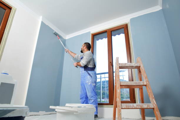 Best Painting for New Construction  in Hudson, WI